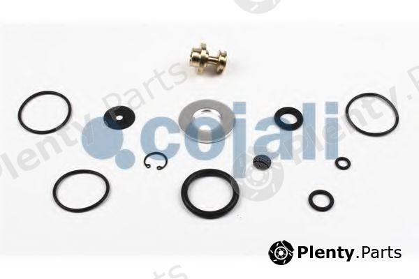  COJALI part 6012248 Repair Kit, air dryer