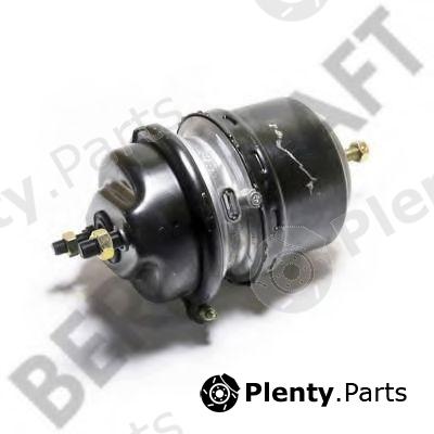  BERGKRAFT part BK8506117 Spring-loaded Cylinder