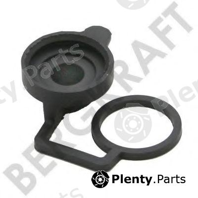  BERGKRAFT part BK1615801AS Repair Kit, brake caliper