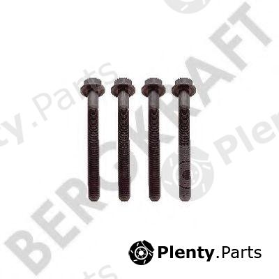  BERGKRAFT part BK8501543 Replacement part