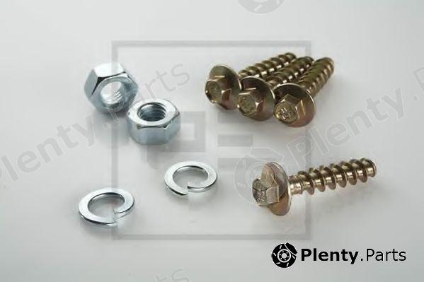  PE Automotive part 065.100-20A (06510020A) Screw