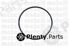  METELLI part 24-0591 (240591) Water Pump