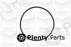  GRAF part PA384 Water Pump