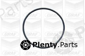  GRAF part PA591 Water Pump