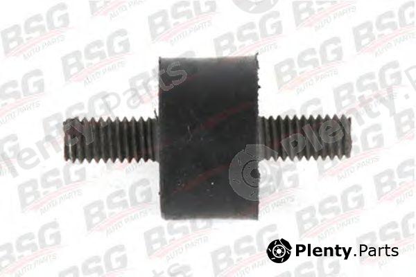  BSG part BSG30-700-109 (BSG30700109) Mounting Kit, heat exchanger