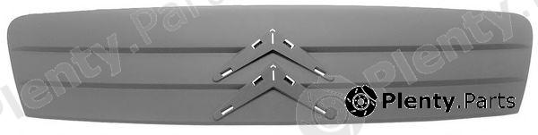  PHIRA part C2-03103 (C203103) Radiator Grille
