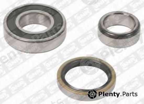  SNR part R173.01 (R17301) Wheel Bearing Kit