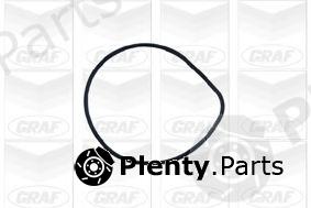  GRAF part PA427 Water Pump