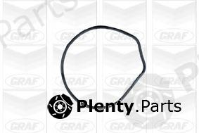  GRAF part PA549 Water Pump