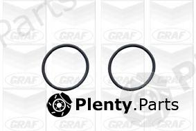  GRAF part PA579 Water Pump