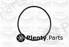  GRAF part PA898 Water Pump