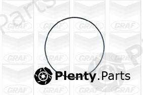  GRAF part PA420A Water Pump