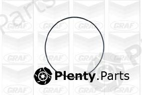  GRAF part PA671 Water Pump