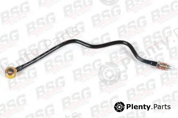  BSG part BSG30-725-015 (BSG30725015) Fuel Hose