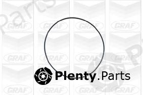  GRAF part PA347 Water Pump