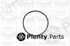  GRAF part PA425 Water Pump