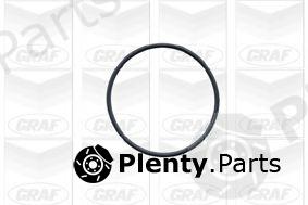  GRAF part PA429A Water Pump