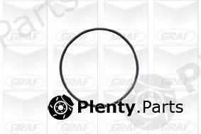  GRAF part PA441 Water Pump