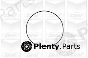  GRAF part PA528 Water Pump