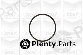  GRAF part PA617 Water Pump