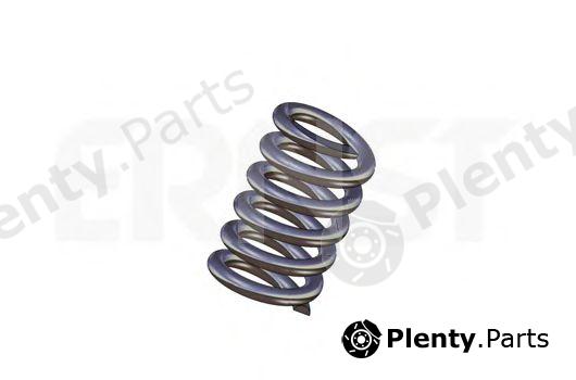  ERNST part 498753 Spring, silencer