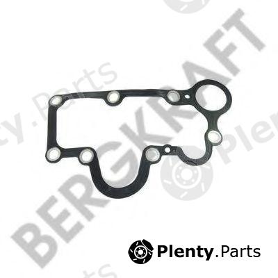  BERGKRAFT part BK1615903AS Repair Kit, brake caliper