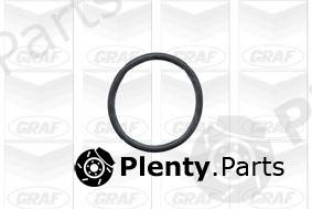  GRAF part PA431 Water Pump