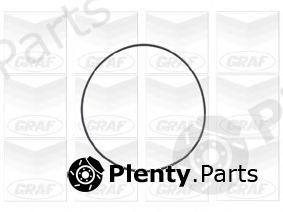  GRAF part PA802 Water Pump
