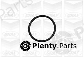  GRAF part PA886 Water Pump