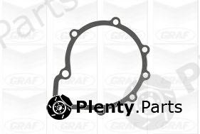  GRAF part PA910 Water Pump