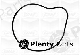  GRAF part PA1040 Water Pump