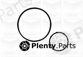  GRAF part PA1078 Water Pump
