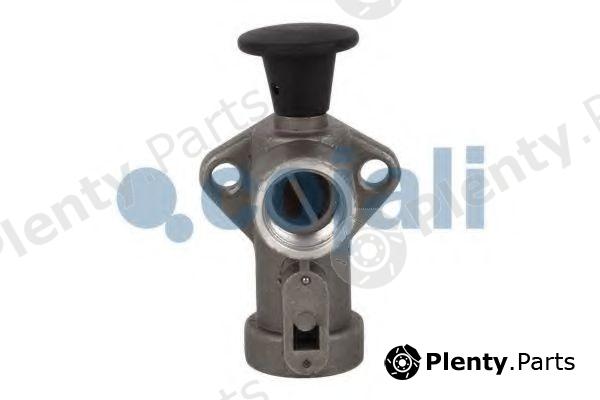  COJALI part 2227101 Quick Release Valve
