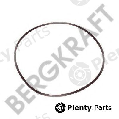  BERGKRAFT part BK28311021SP Seal Ring