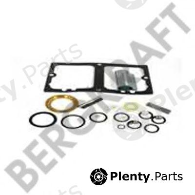  BERGKRAFT part BK7809226 Repair Kit, tilt pump