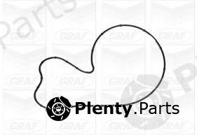  GRAF part PA1141 Water Pump