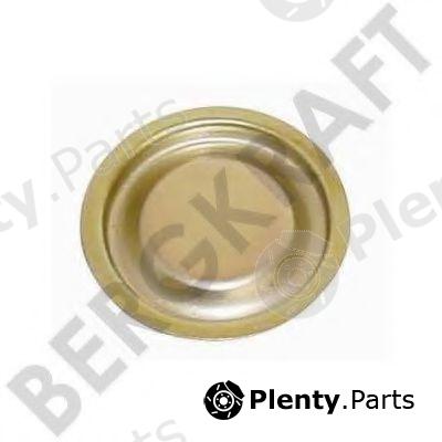  BERGKRAFT part BK8500429 Replacement part