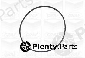 GRAF part PA541A Water Pump