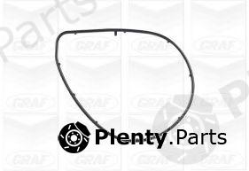  GRAF part PA1001 Water Pump