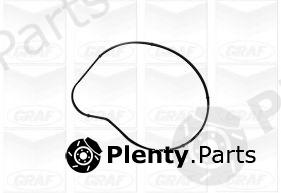  GRAF part PA1058 Water Pump