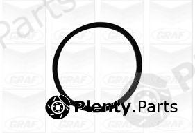  GRAF part PA1060 Water Pump