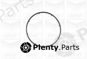  GRAF part PA1083 Water Pump