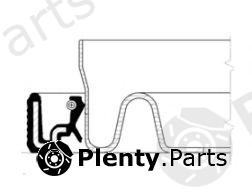  CORTECO part 12014728B Shaft Seal, countershaft