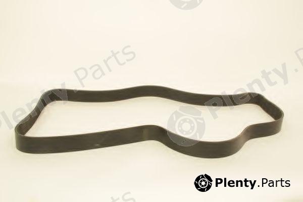  KLAXCAR FRANCE part 12PK2139 V-Ribbed Belts