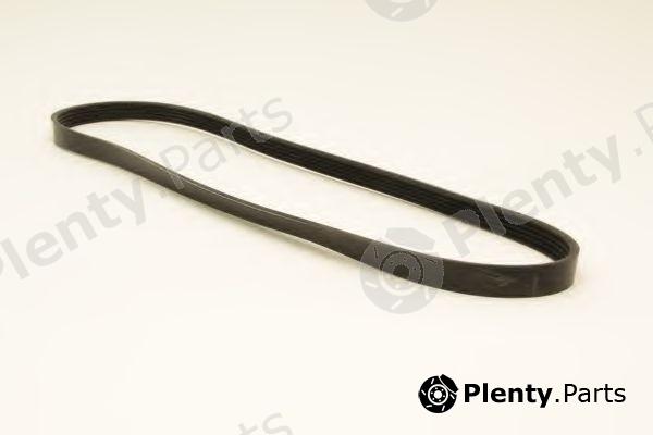  KLAXCAR FRANCE part 5PK1100 V-Ribbed Belts