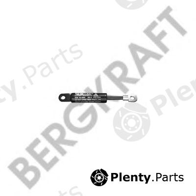  BERGKRAFT part BK2939421SP Gas Spring, front panel