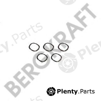  BERGKRAFT part BK1630901AS Replacement part