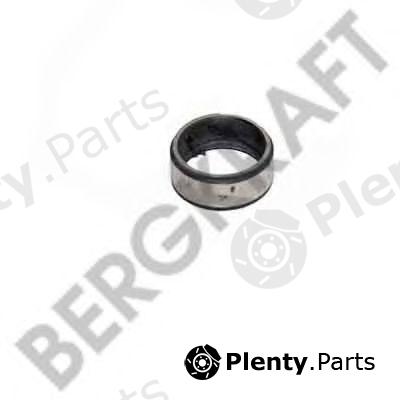  BERGKRAFT part BK8500586 Valve Seat