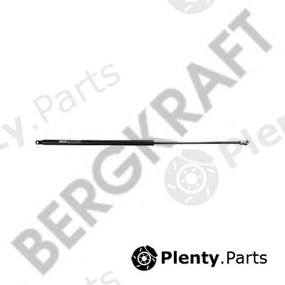  BERGKRAFT part BK2939721SP Gas Spring, front panel