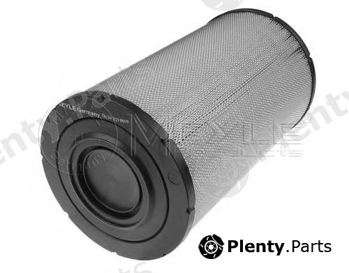  MEYLE part 12-343210009 (12343210009) Air Filter